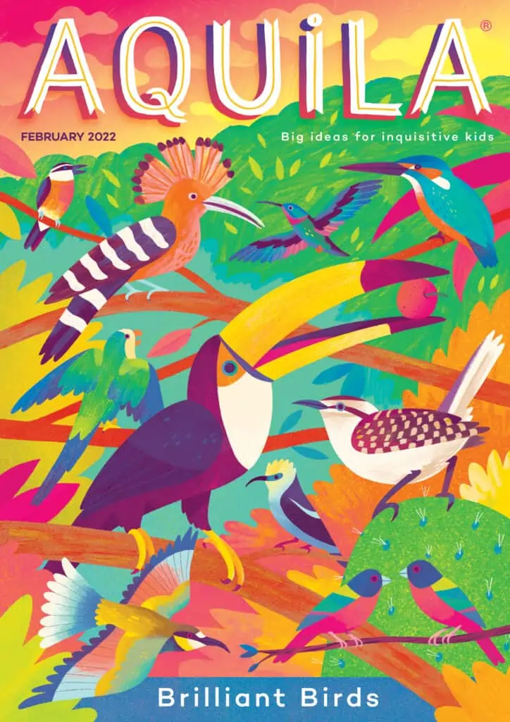 Brilliant Birds