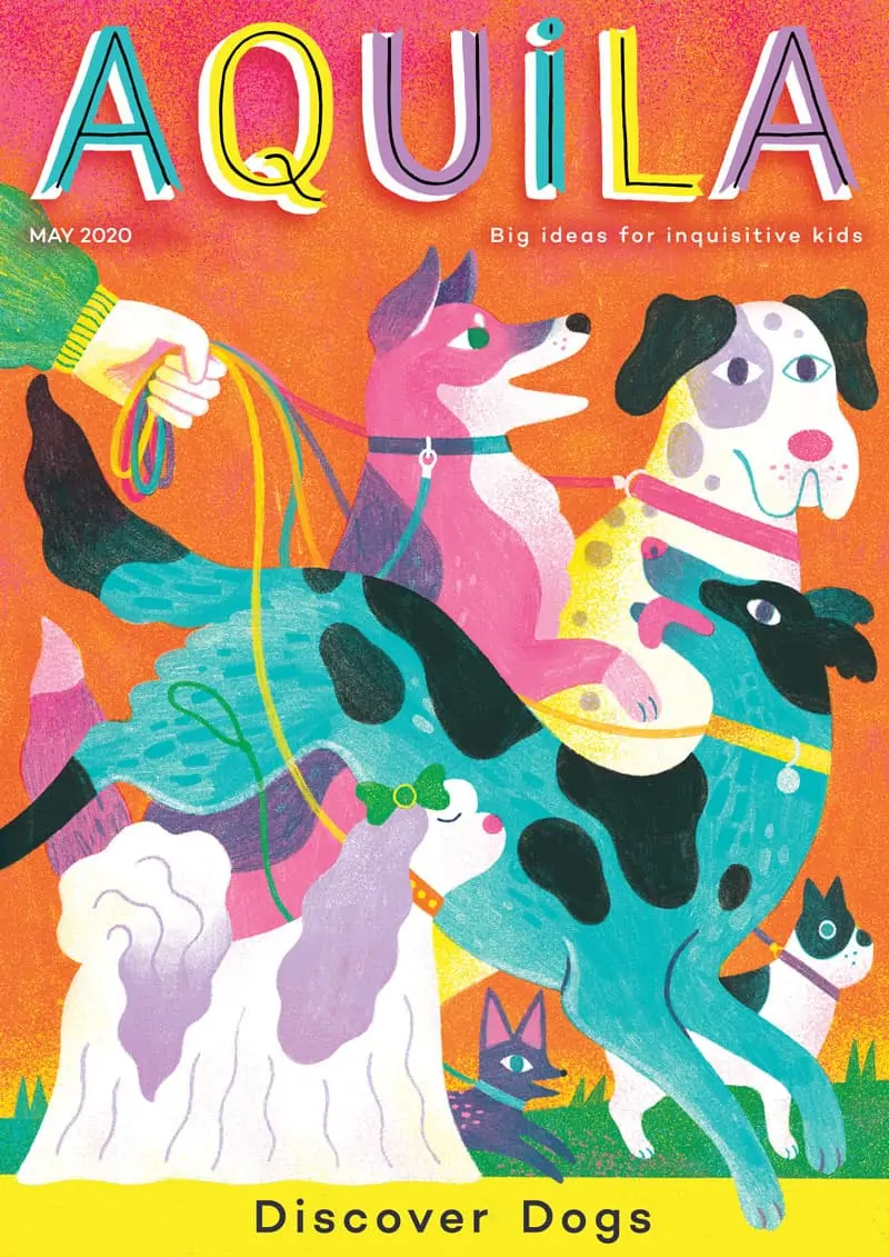 Discover Dogs